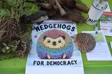 Hedgehogs for Democracy (Igel für Demokratie)